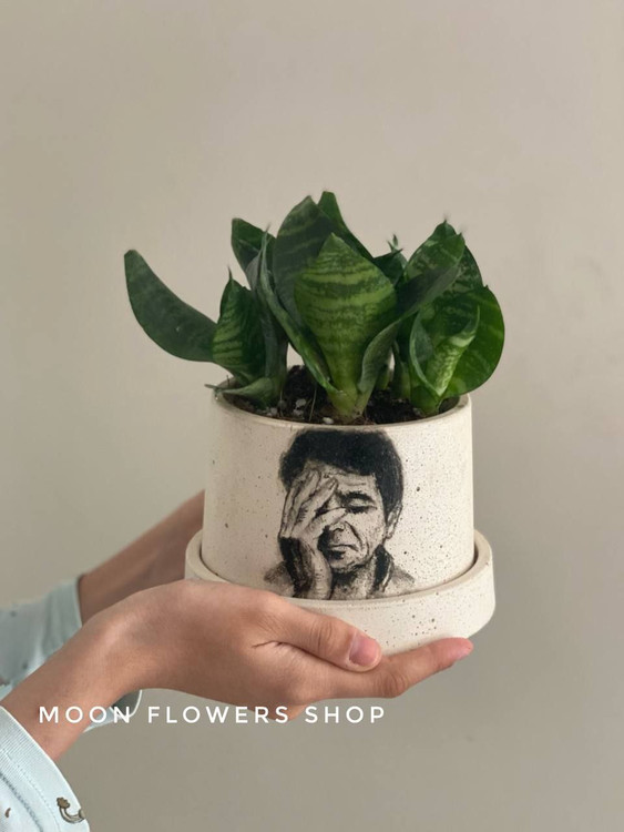 گلدان بتنی با نقاشی دستی پرتره استاد شجریان سایز 8
