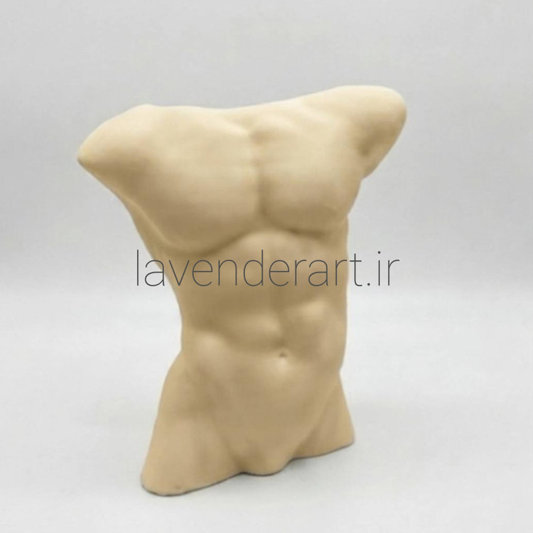مجسمه رومیزی پلی استر مدرن و مینیمال نیم تنه آناتومی بدن ابعاد 26*20 سانتی متر